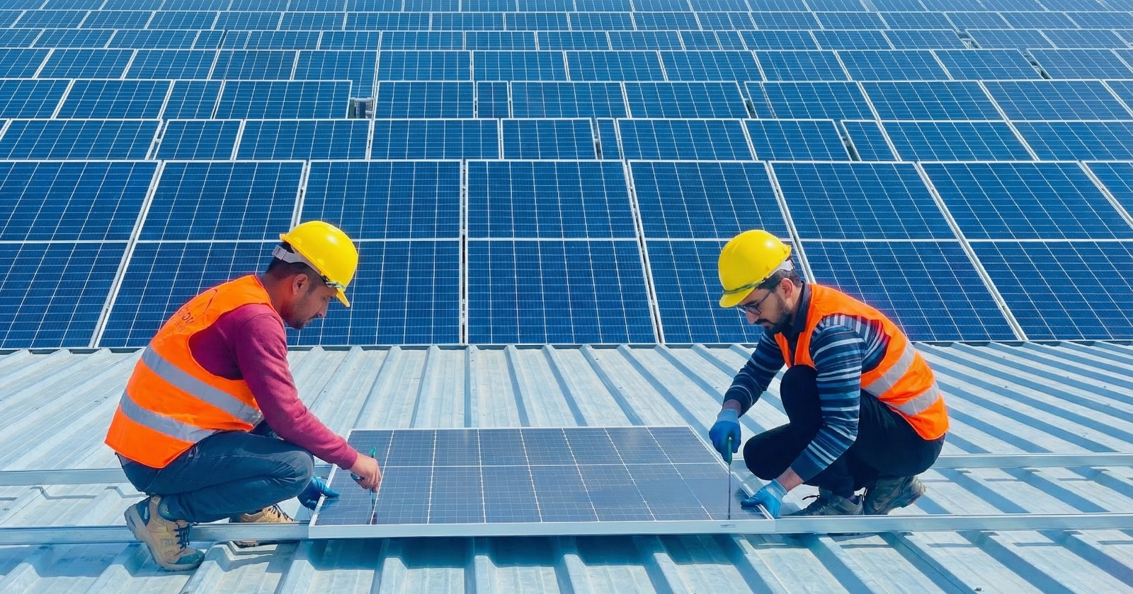 9bc07137 6dcc 4fb7 98e0 d4cb9f1a5ba7